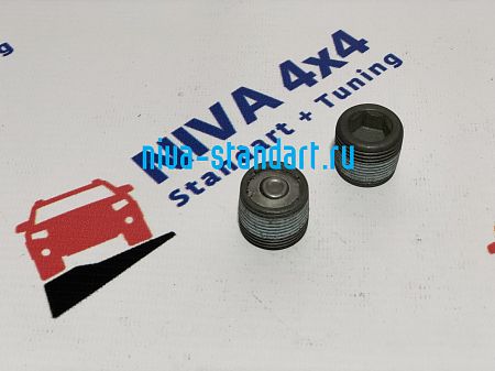 21230-2401046-00-0 Пробка магнитная( c герметиком)