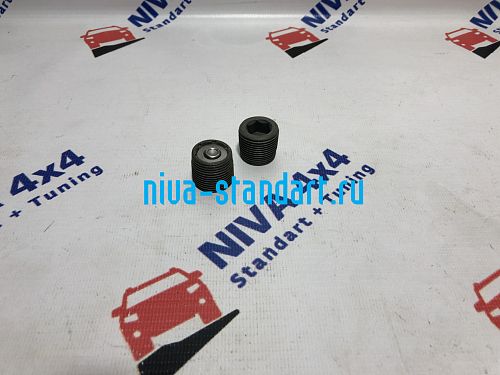 21010-2401046	пробка магнитная М22х1,5